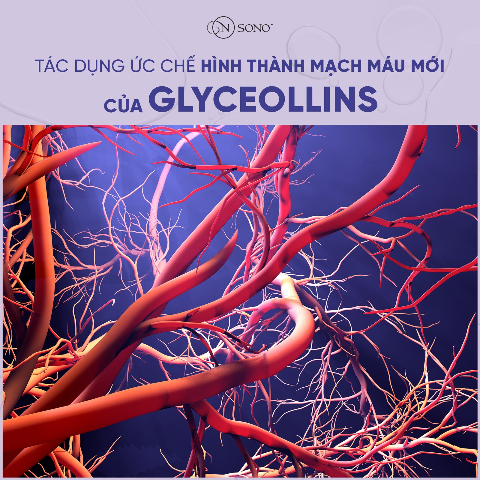 Ứng dụng của Glyceollins trong ức chế hình thành mạch máu mới